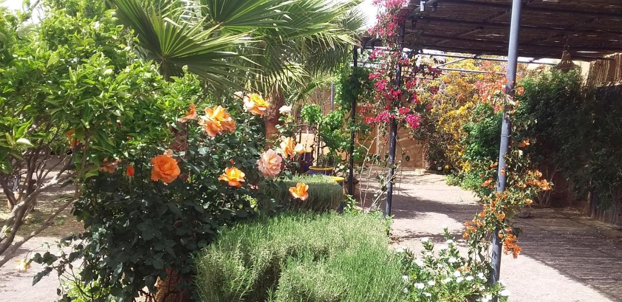 Auberge Bassou Nkob Exteriör bild